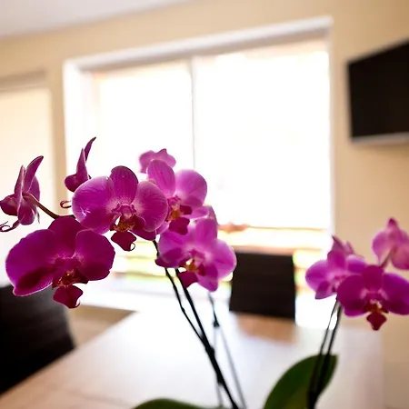 Bella Aparthotel Jurmala